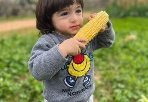 קלחים ומבוכים: חוויה חקלאית לכל המשפחה